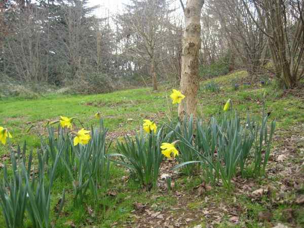 Exwick Cemetery, Exeter